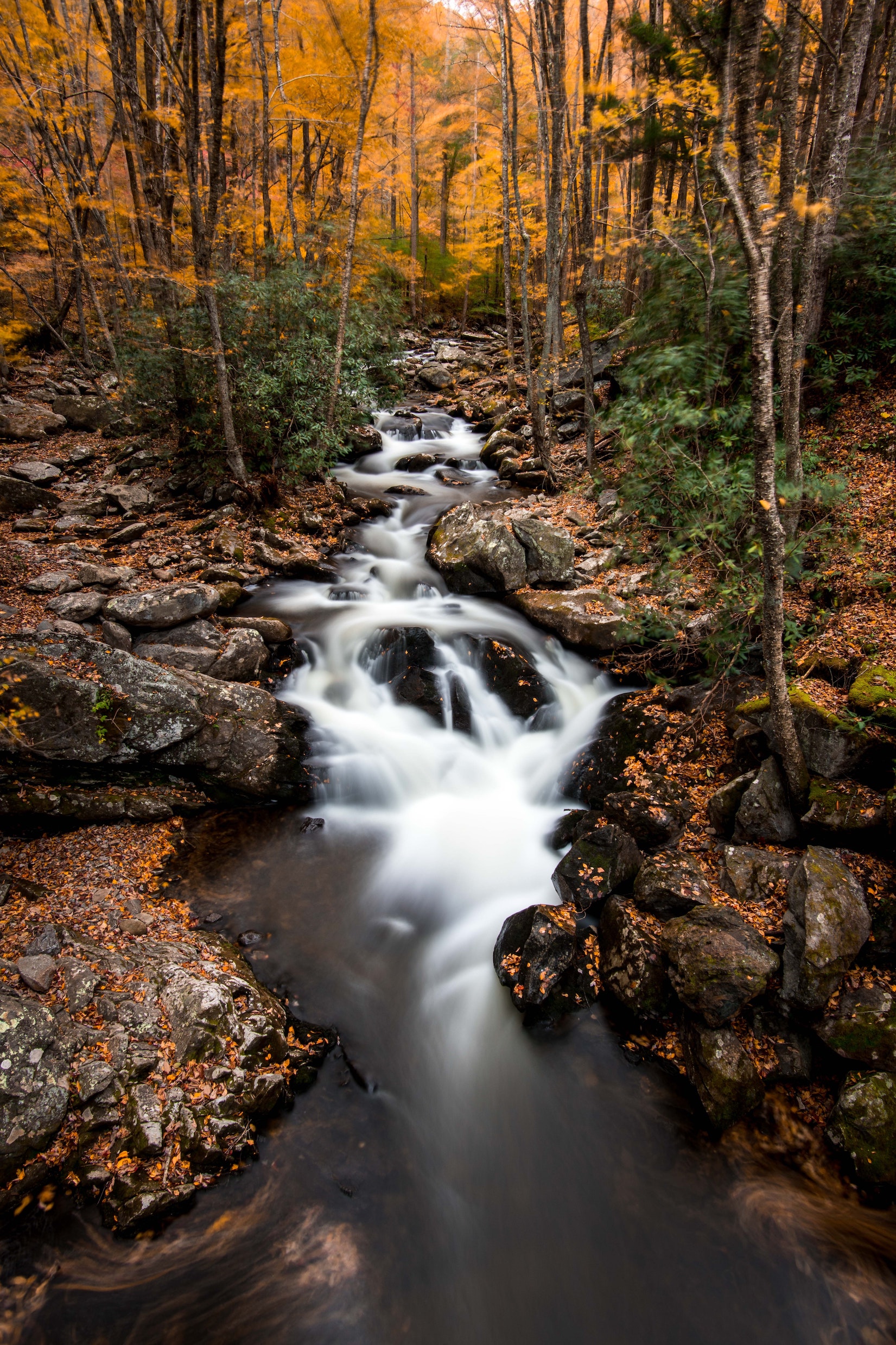 Foto: <a href="https://unsplash.com/@shanearesmith?utm_source=unsplash&amp;utm_medium=referral&amp;utm_content=creditCopyText">Shane Smith</a> on <a href="https://unsplash.com/s/photos/creek?utm_source=unsplash&amp;utm_medium=referral&amp;utm_content=creditCopyText">Unsplash</a>